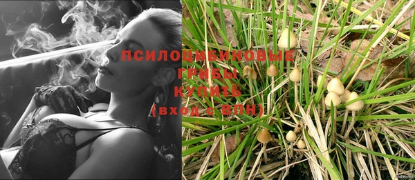 ПСИЛОЦИБИНОВЫЕ ГРИБЫ Богородск
