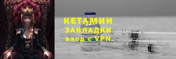 индика Струнино