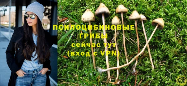 мескалин Бронницы