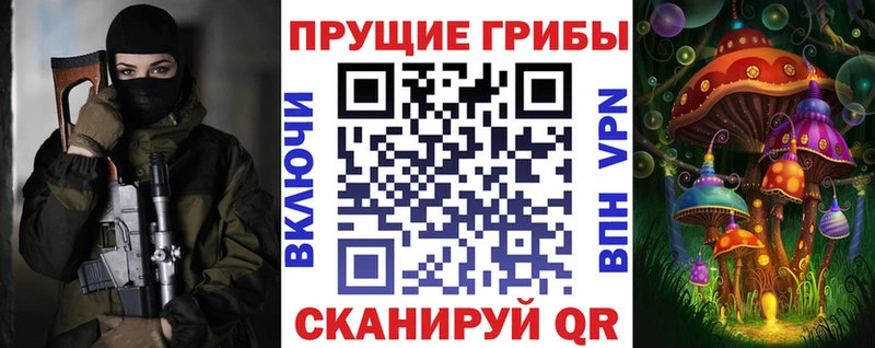 купить наркотики сайты  Медынь  Галлюциногенные грибы Magic Shrooms 